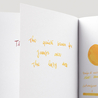 Diamine Diamine Amber Inchiostro 80 ml