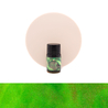 Ferris Wheel Press Ferris Wheel Press Lores of the Loch Ink Bottle 10 ml