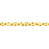 MT Masking Tape MT x Maruichikyu Washi Tape Sunflowers