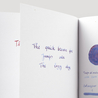 Diamine Diamine Inkvent Baltic Breeze Inchiostro 50 ml Black Edition Shimmer