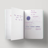 Diamine Diamine Inkvent Icy Lilac Inchiostro 50 ml Black Edition Shimmer