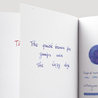Diamine Diamine Inkvent Snow Globe Ink Bottle 50 ml Black Edition Shimmer