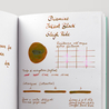 Diamine Diamine Inkvent Sleigh Ride Inchiostro 50 ml Black Edition Extreme Sheen