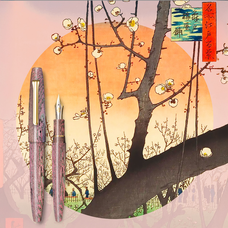 Sailor Sailor King of Pen Naginata Togi Penna Stilografica Umesaki Edizione Limitata