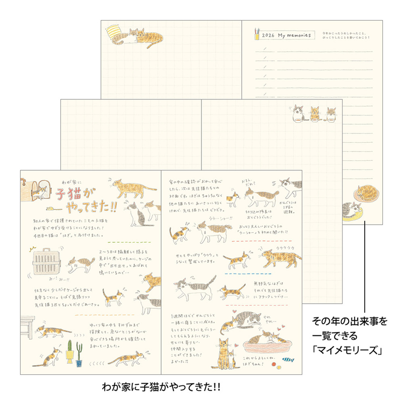 Midori Midori Pocket Diary 2026 Agenda Settimanale B6 Gatti