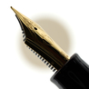 Sailor Sailor King of Pen Tamenuri Raden Fountain Pen Nami Limited Edition