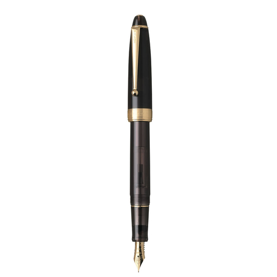 Pilot Custom NS World Voyage Penna Stilografica Adventure Brown