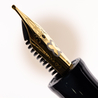 Esterbrook Esterbrook JR Pocket Fountain Pen Love Potion