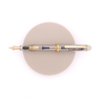 Platinum Platinum 3776 Century 2.0 Fountain Pen Demonstrator Limited Edition