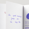 Pilot Iroshizuku Murasaki-Shikibu Ink Bottle 15 ml