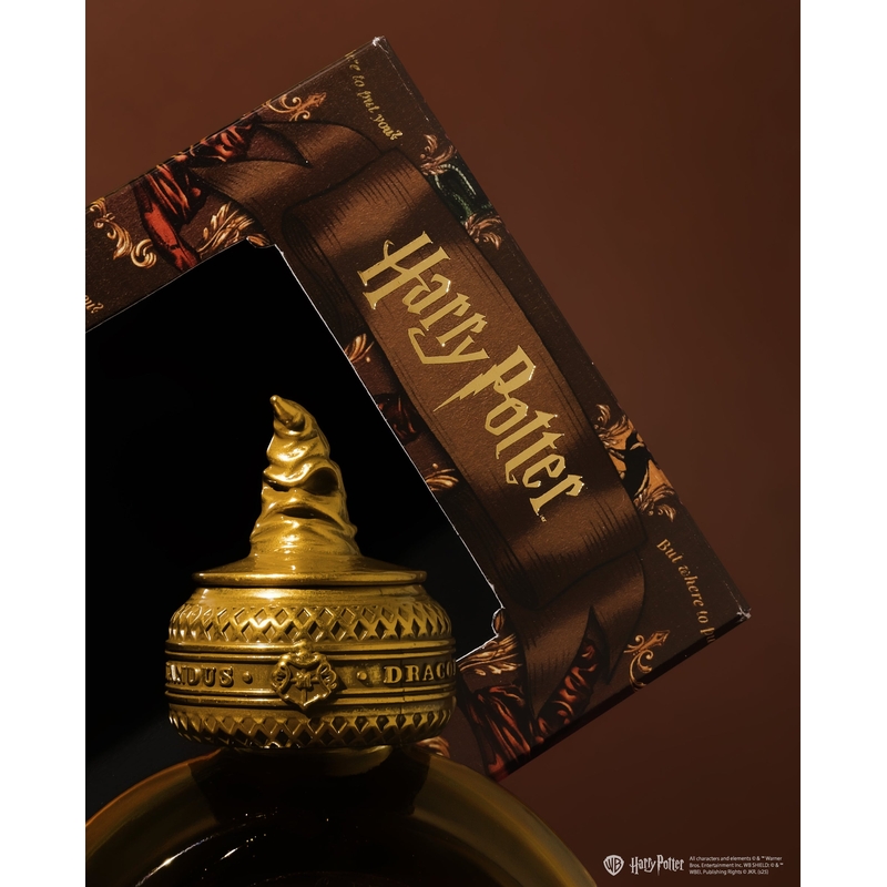 Ferris Wheel Press Ferris Wheel Press x Harry Potter The Sorting Hat Ink Bottle 38 ml
