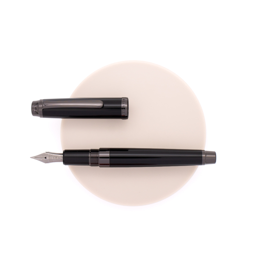 Platinum 3776 Century Fountain Pen Travia Limited Edition