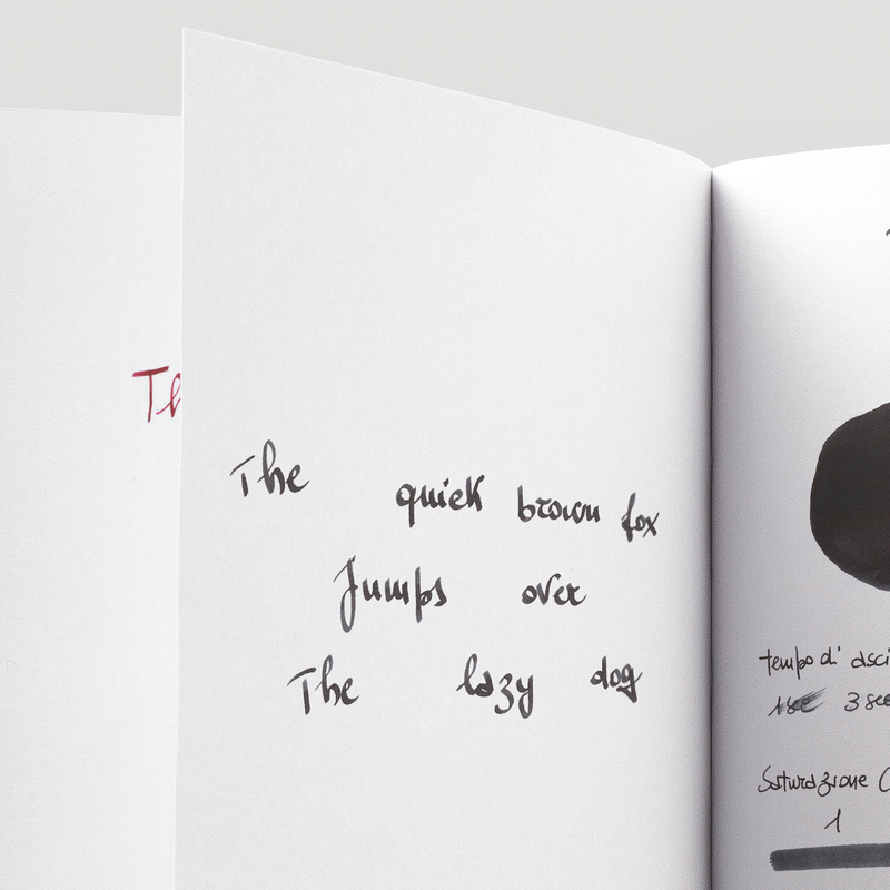 Pilot Iroshizuku Take-Sumi Ink Bottle 50 ml