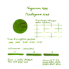 Nagasawa Nagasawa Kobe Monogatari Minatogawa Lime Ink Bottle 50 ml