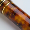 Leonardo Officina Italiana Leonardo x Stilo&Stile Momento Zero Fountain Pen Radici