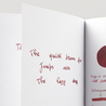 Noodler's Red Black Inchiostro 3 oz