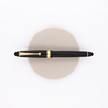 Pilot Custom 742 Waverly Penna Stilografica Nera