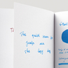 Noodler's V-Mail Midway Blue Ink Bottle 3 oz