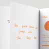 Noodler's V-Mail Operation Overlord Orange Ink Bottle 3 oz