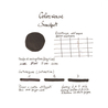 Colorverse Sunspot Ink Bottle 65 + 15 ml