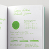 Caran d'Ache Delicate Green 6 Ink Cartridges